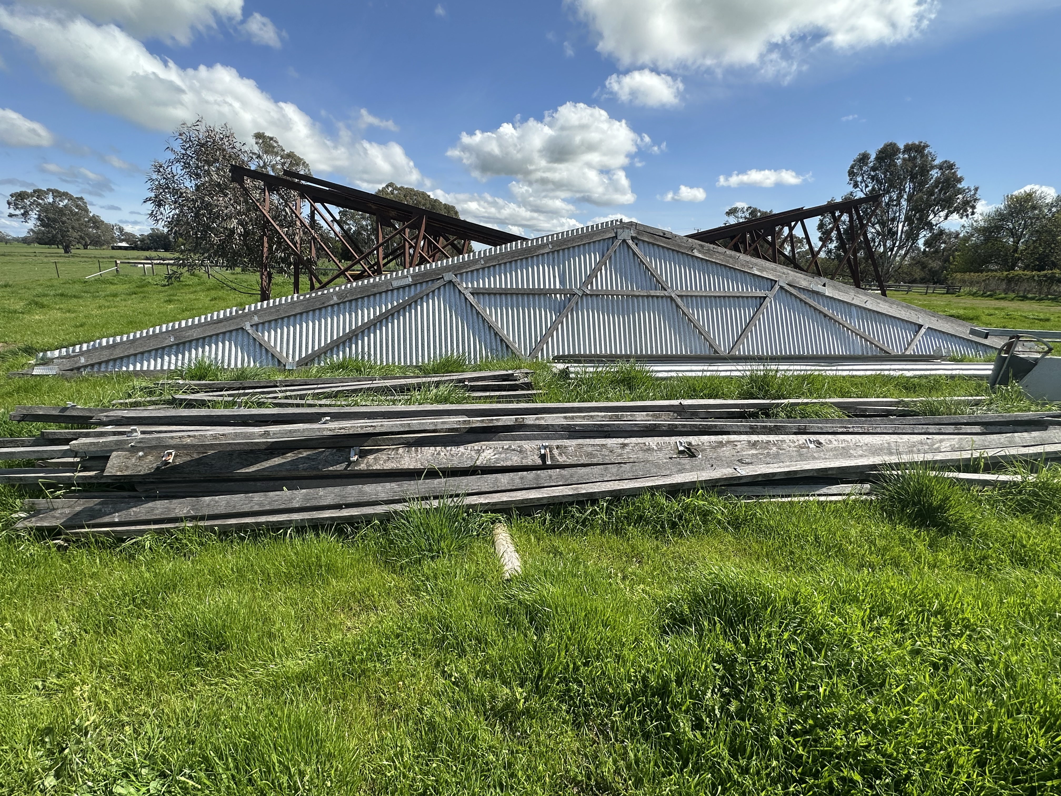 shed 7